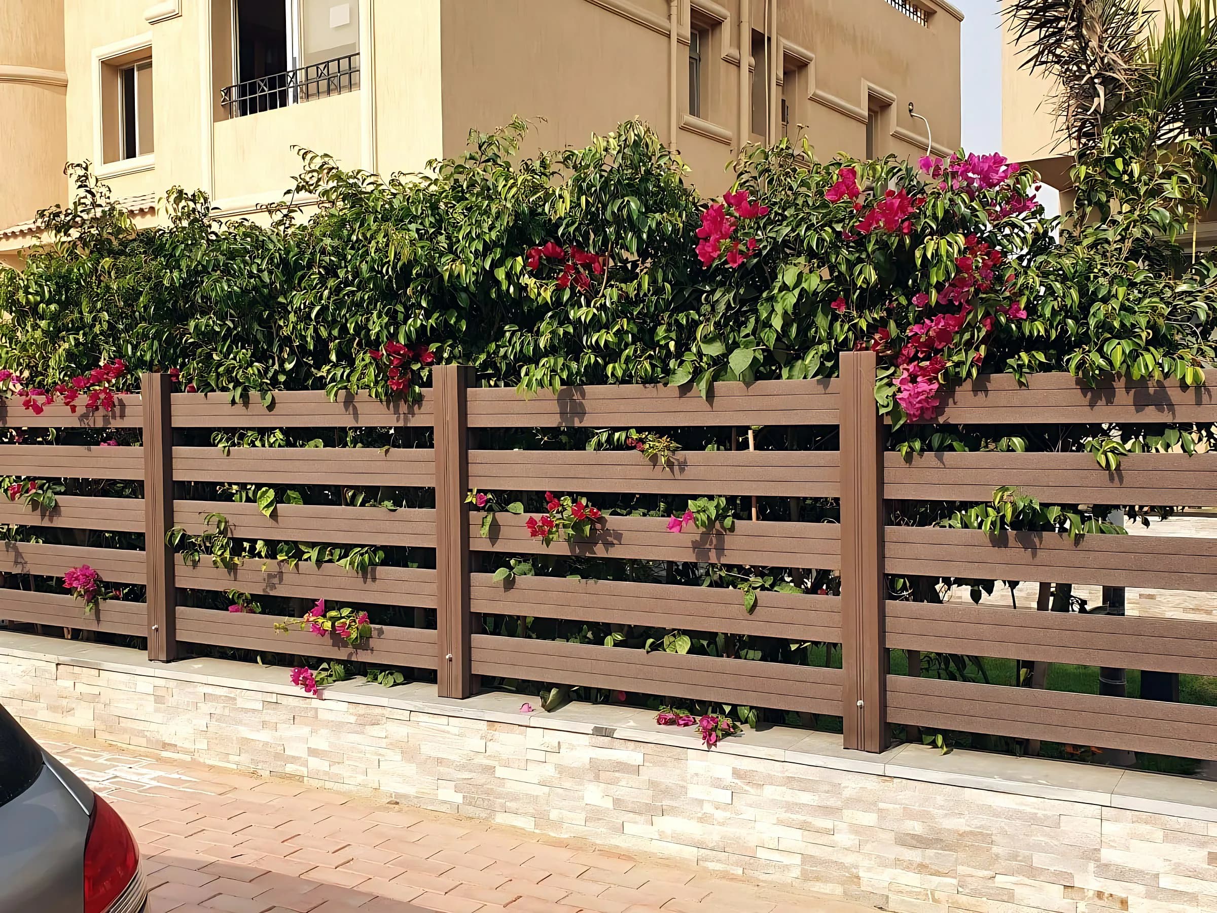 Slatted garden fence with bougainvillea growing through